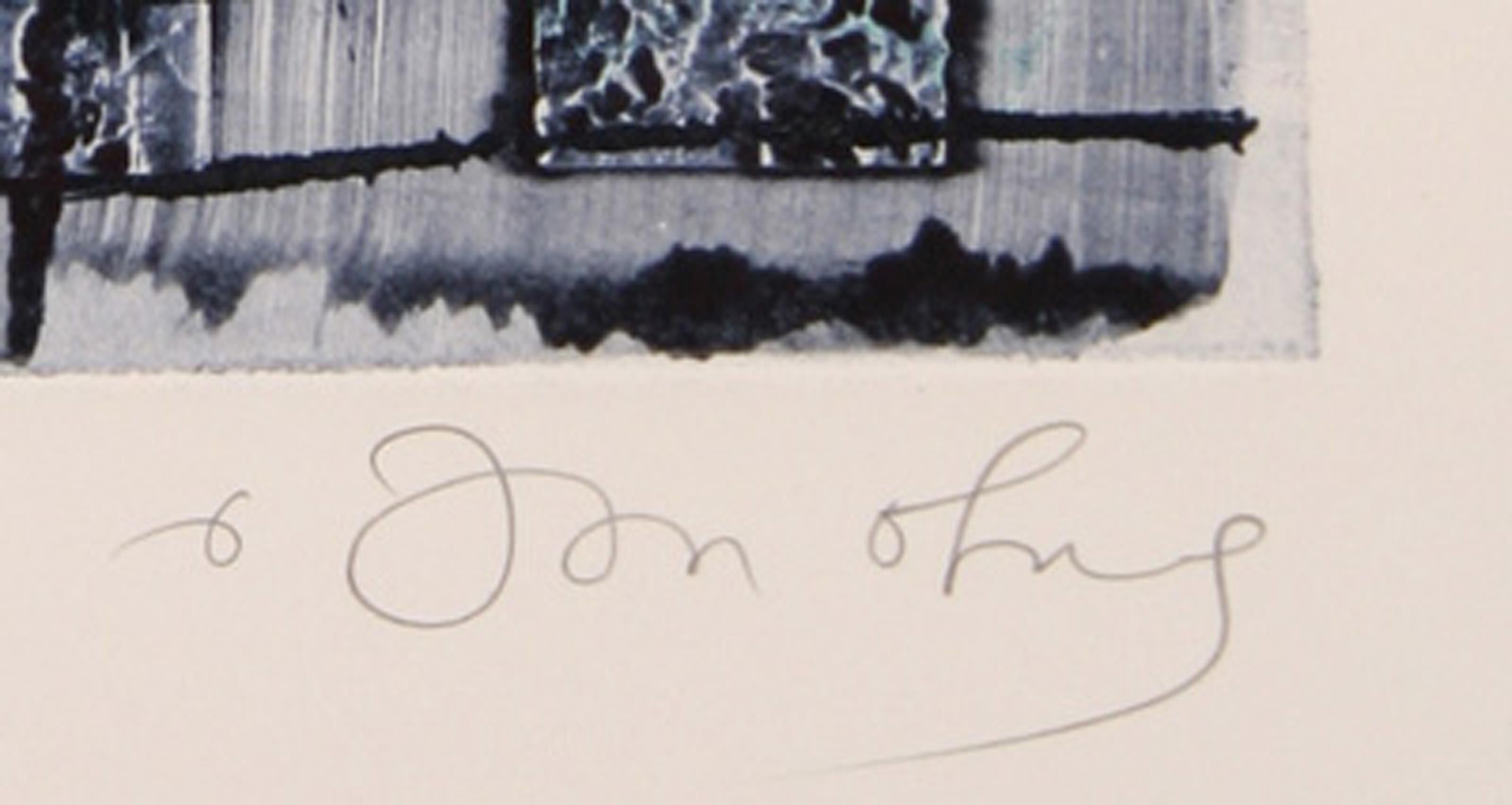 Dialects of Paradise I - Darker, Aquatint Etching by Tighe O'Donoghue For Sale 3