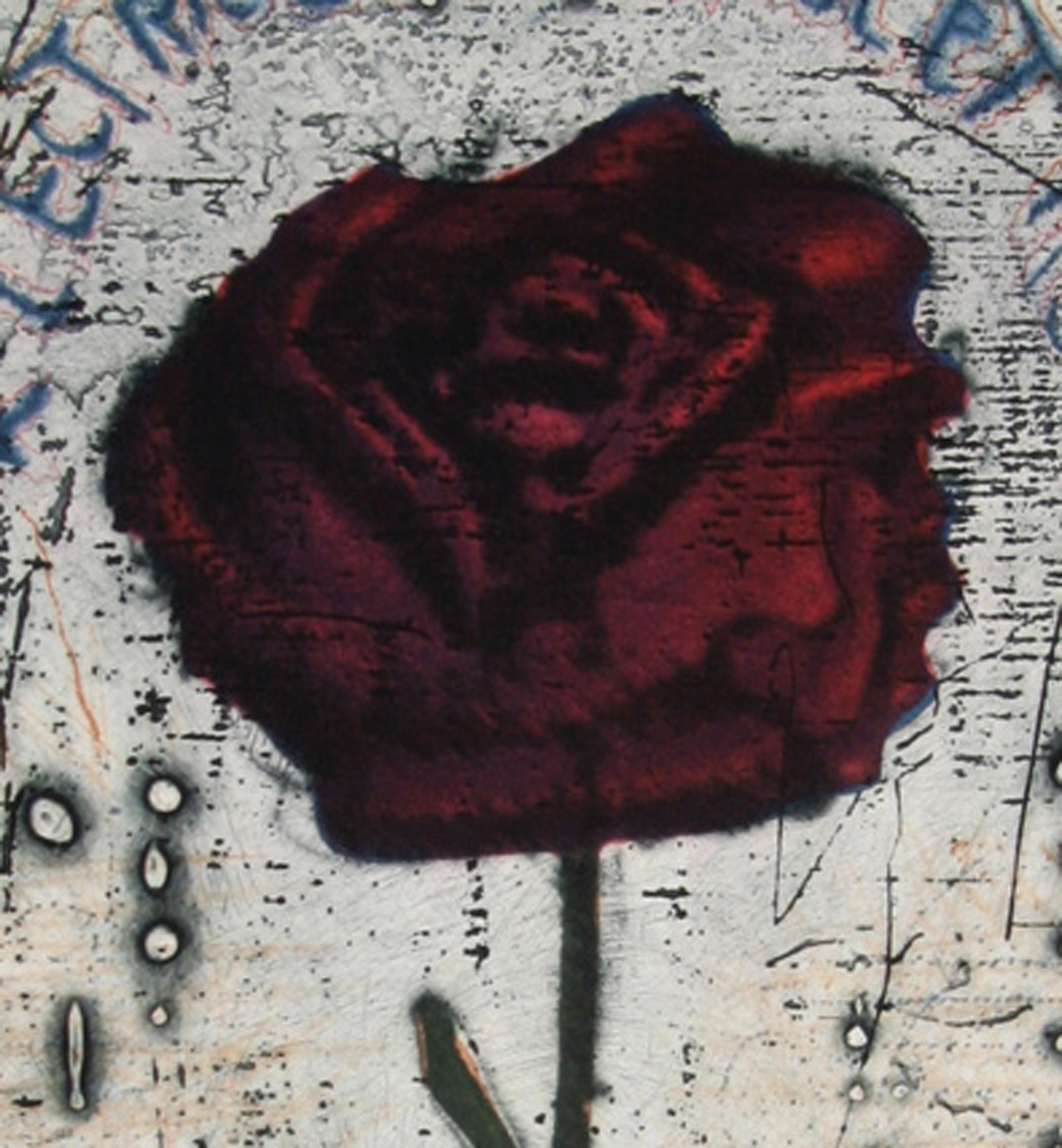 Electric Ultra-Violet Rose, Aquatint Etching by Tighe O'Donoghue For Sale 1
