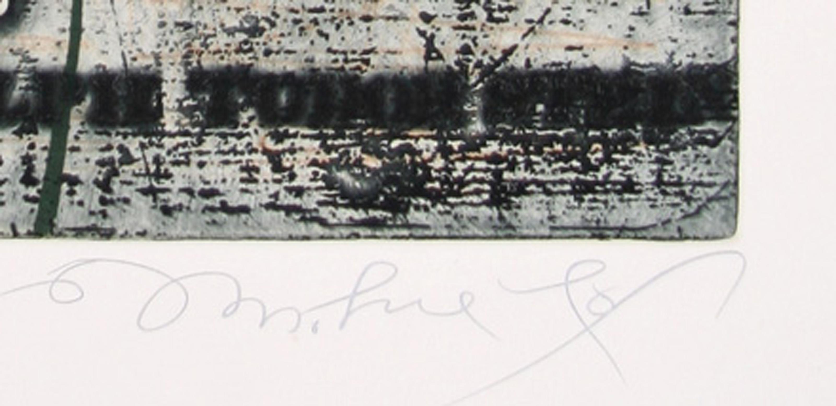 Electric Ultra-Violet Rose, Aquatint Etching by Tighe O'Donoghue For Sale 3