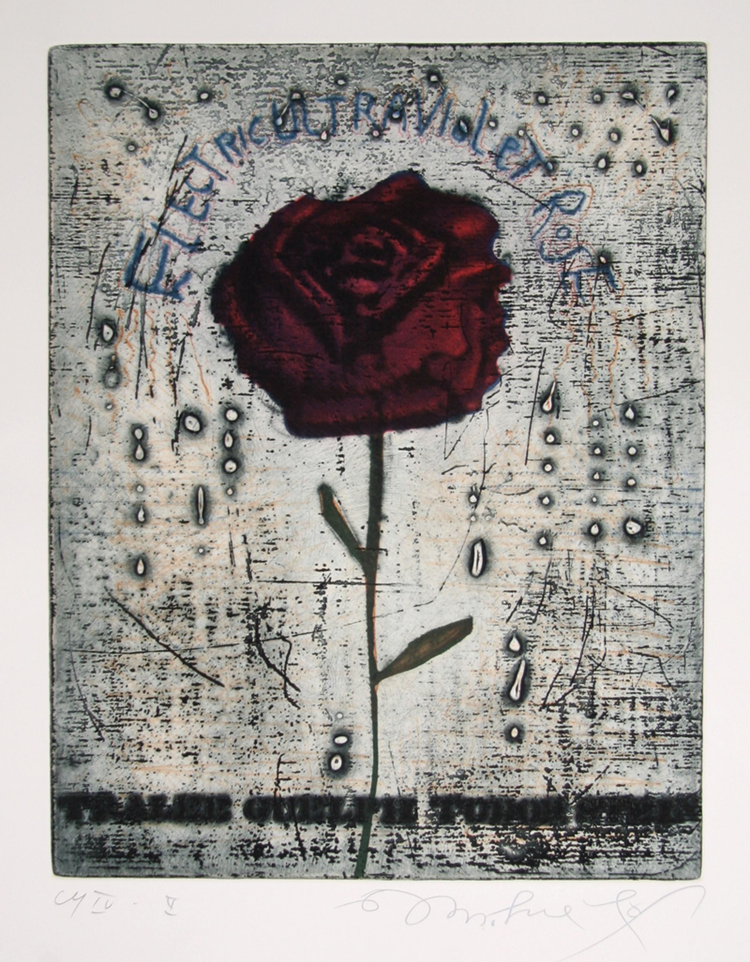 Heavily pigmented with a deep burgundy hue, Tighe O'Donoghue's Surrealistic rendering of a single rose stem is accented by scratchy script above and elegant typeface along the bottom. 

Electric Ultra-Violet Rose
Tighe O’Donoghue, American