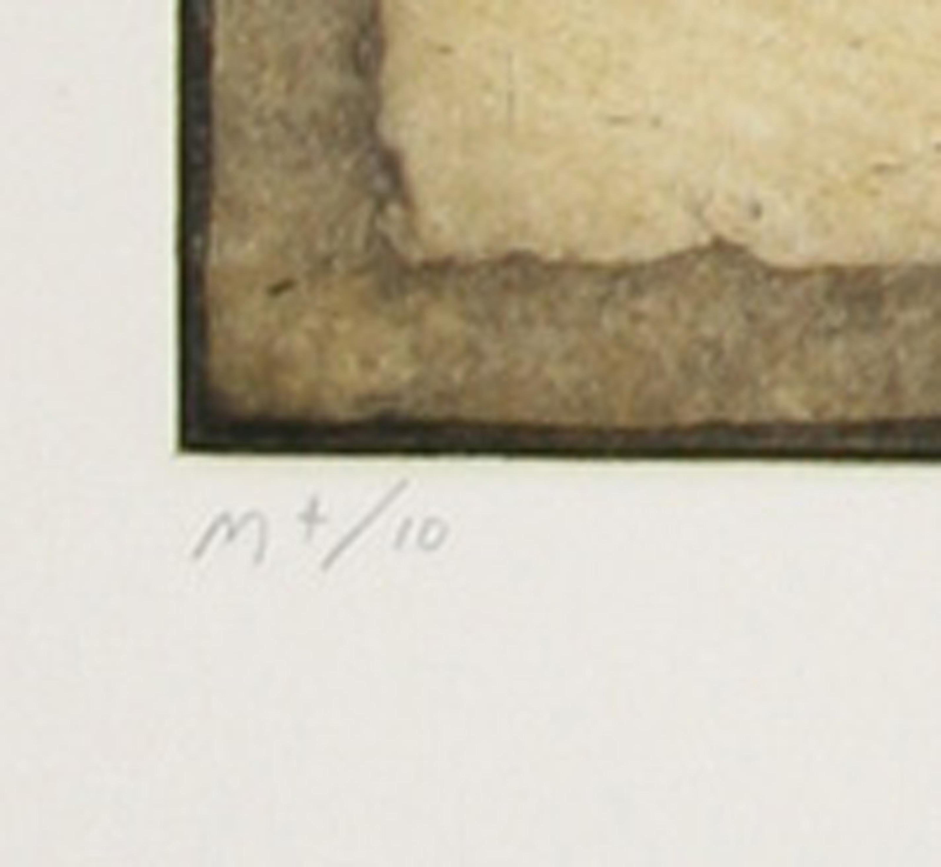 Icarus de la suite méridienne céleste, gravure à l'aquatinte de Tighe O'Donoghue en vente 3
