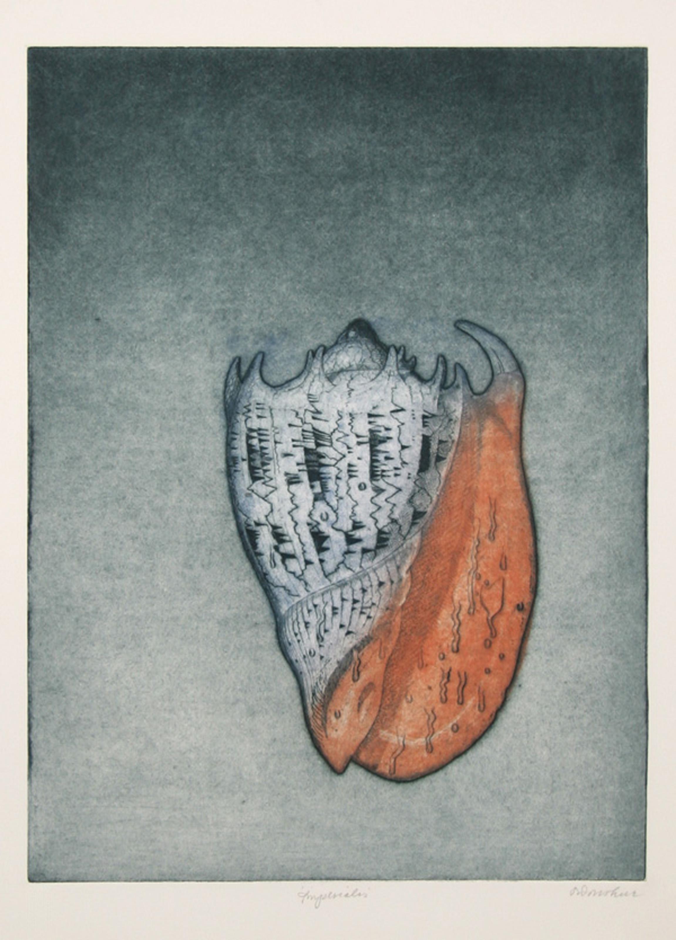 Imperiales, Aquatint Etching by Tighe O'Donoghue