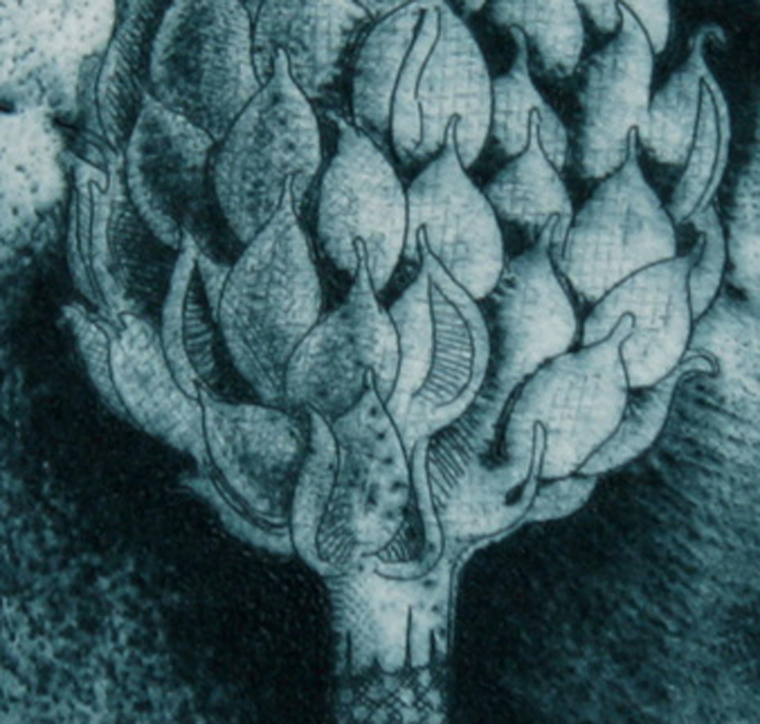 Snow Flower, Aquatint Etching by Tighe O'Donoghue For Sale 1
