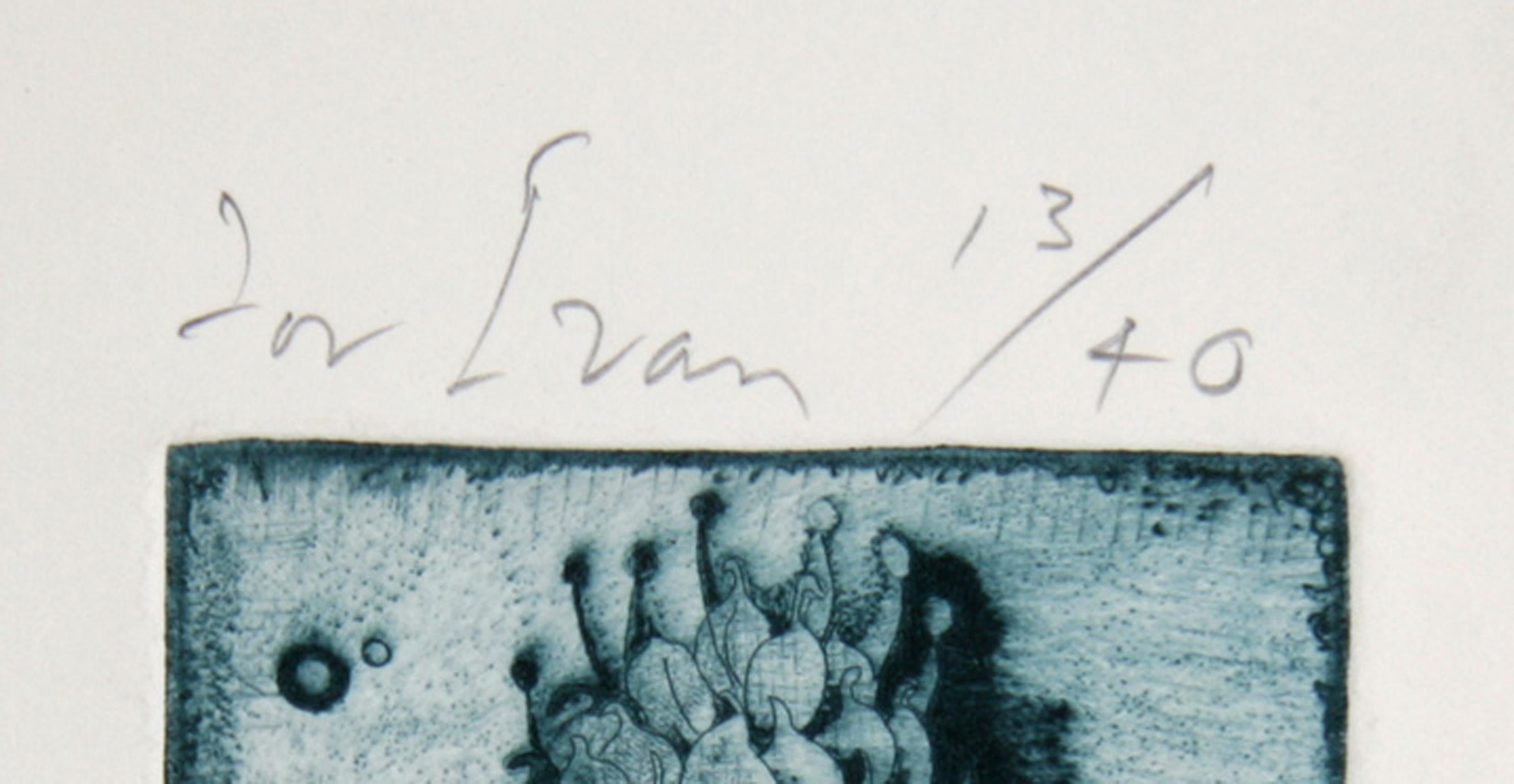 Snow Flower, Aquatint Etching by Tighe O'Donoghue For Sale 2