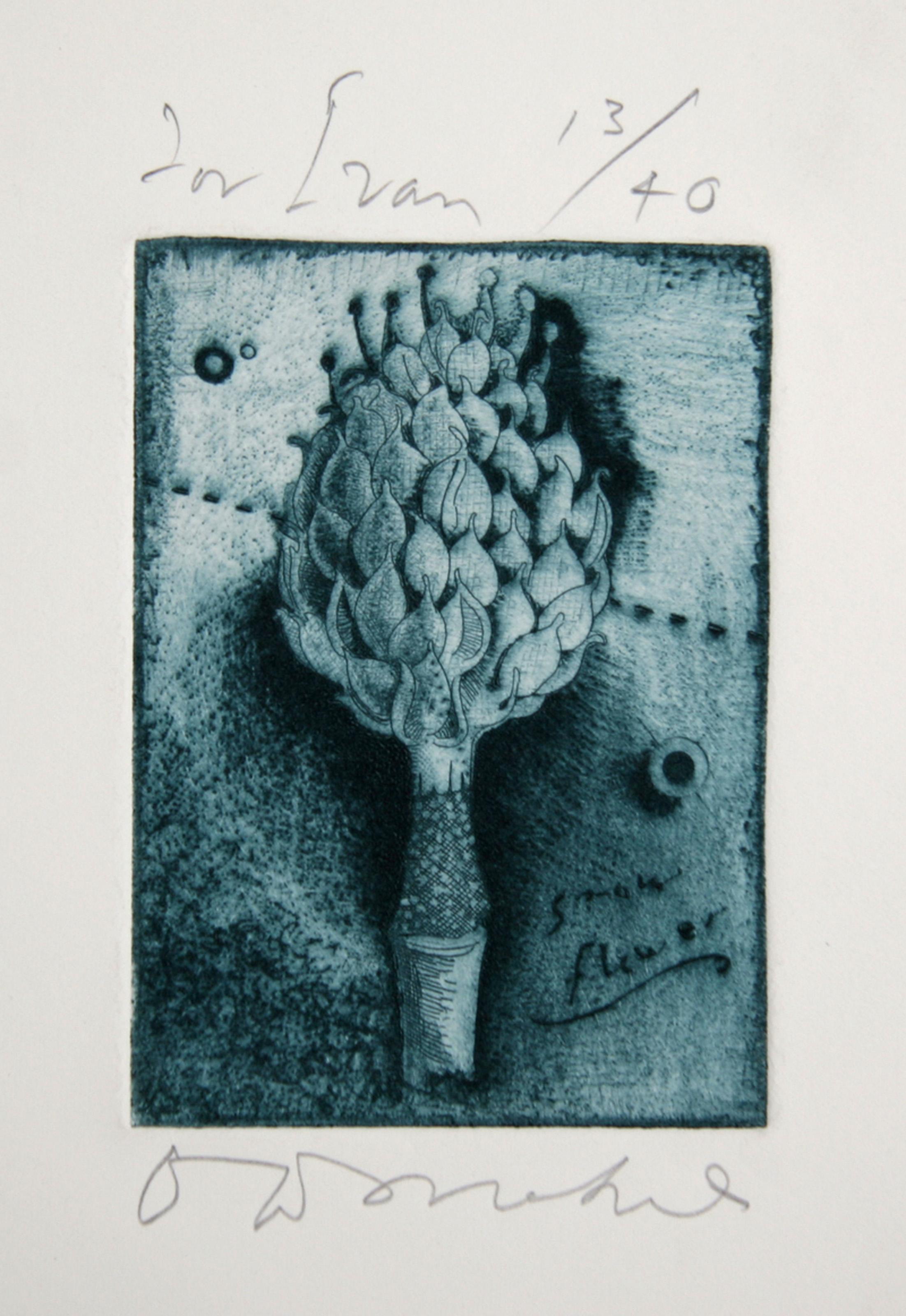 Fiore di neve, acquaforte acquatinta di Tighe O'Donoghue