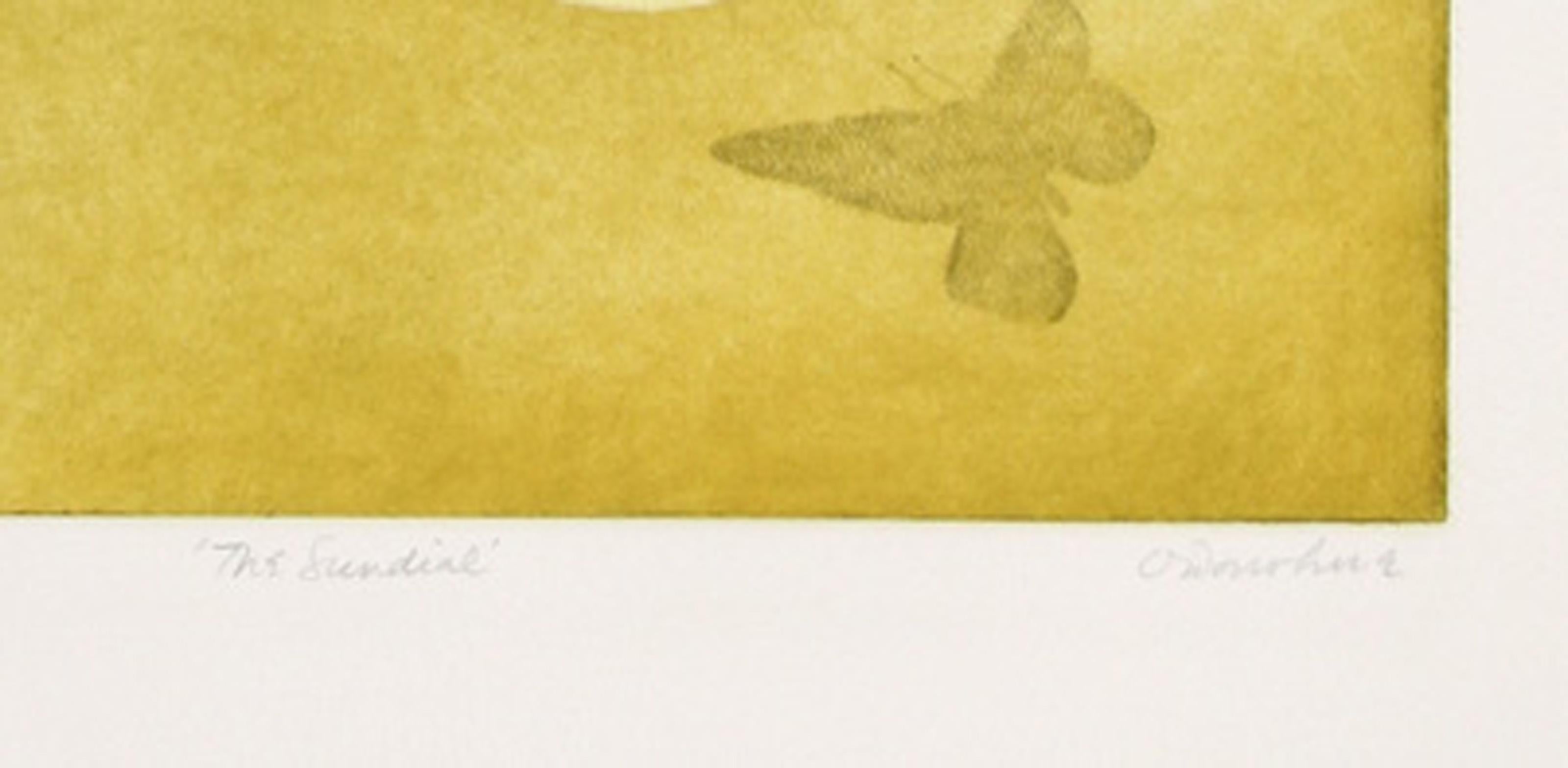Sundial - Suite 2, Aquatint Etching by Tighe O'Donoghue For Sale 3