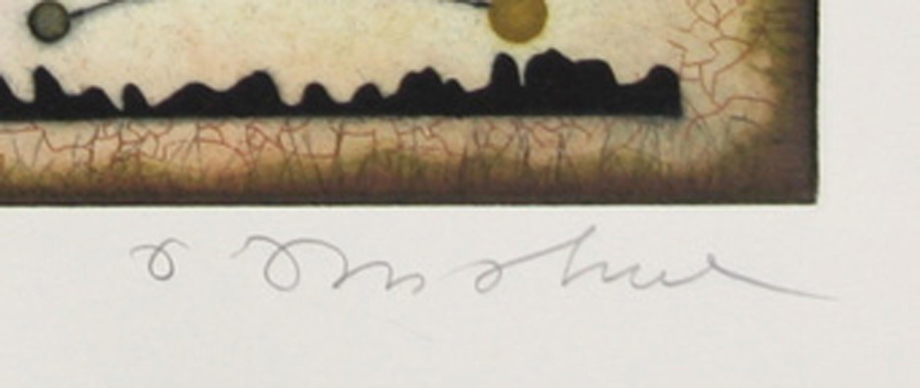 The Alchemist - A Fable Suite, Aquatint Etching by Tighe O'Donoghue For Sale 3