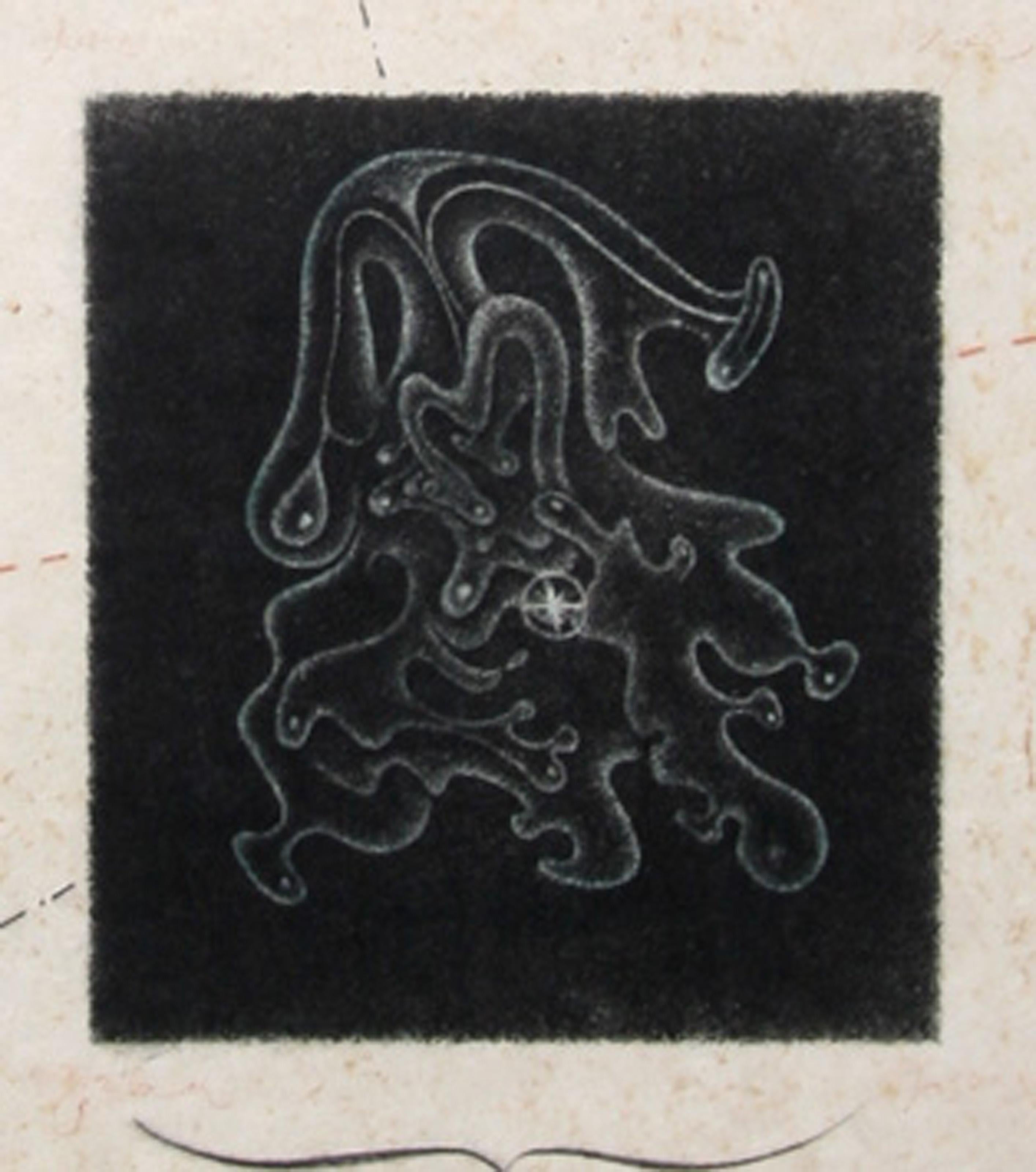 The Lion of Gramercy Park, Aquatint Etching by Tighe O'Donoghue For Sale 2