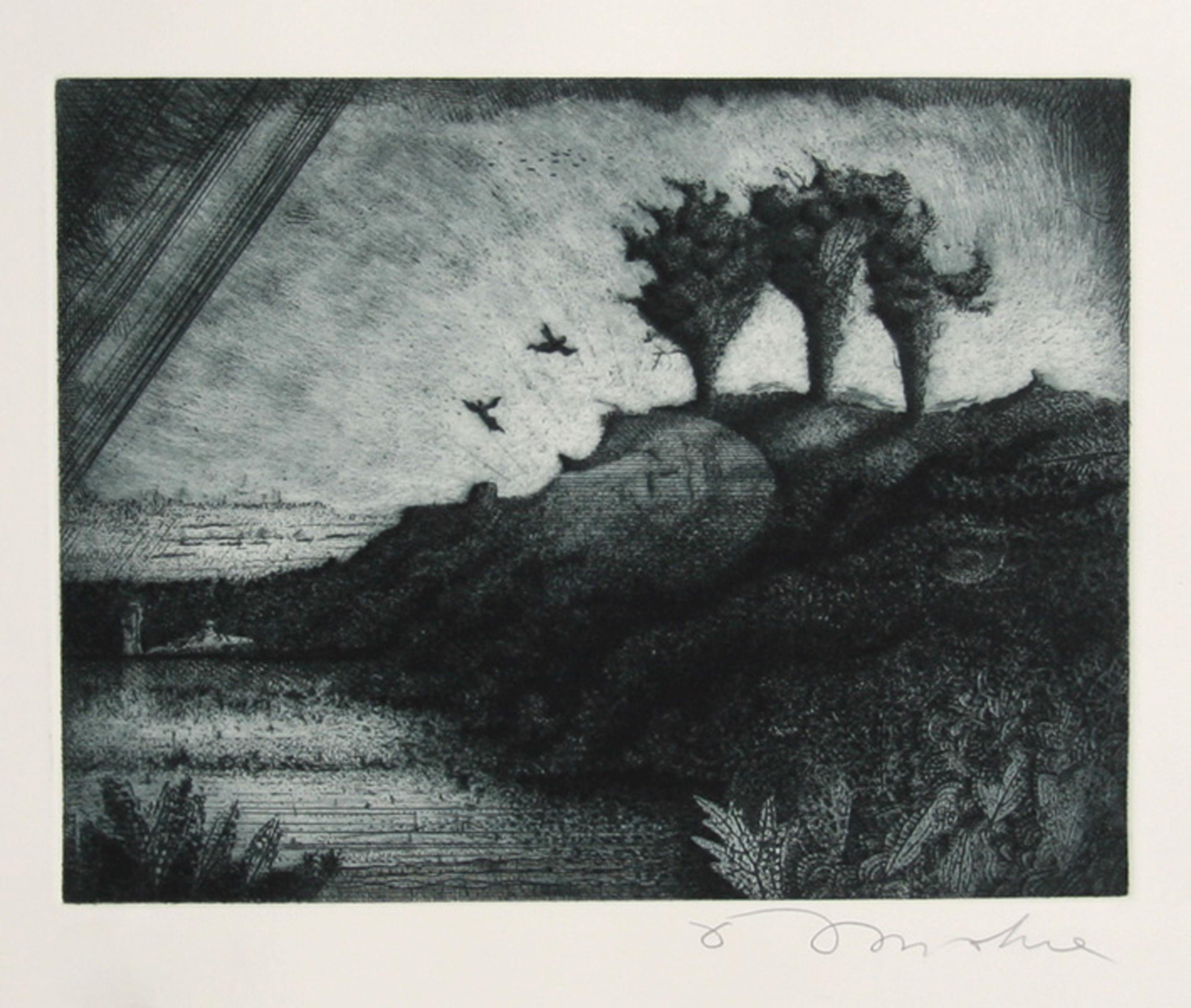 Senza titolo - Paesaggio marino notturno
Tighe O'Donoghue, americano (1942-2023)
Data: 1985
Acquaforte con acquatinta, firmata e numerata a matita
Edizione di 99
Dimensioni dell'immagine: 11 x 14 pollici
Dimensioni: 22 x 27 pollici (55,88 x 68,58 cm)