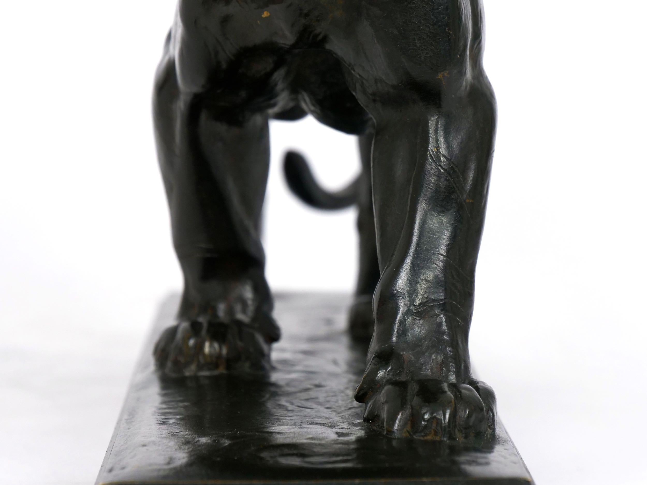 “Tigre Qui Marche” French Bronze Sculpture by Antoine-Louis Barye & Barbedienne 9