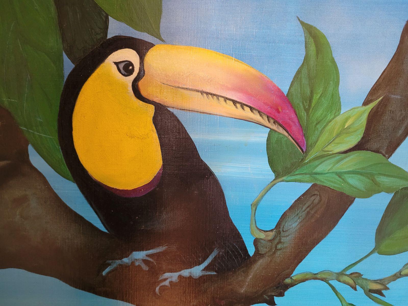 Heliconia nei mari in vendita 2