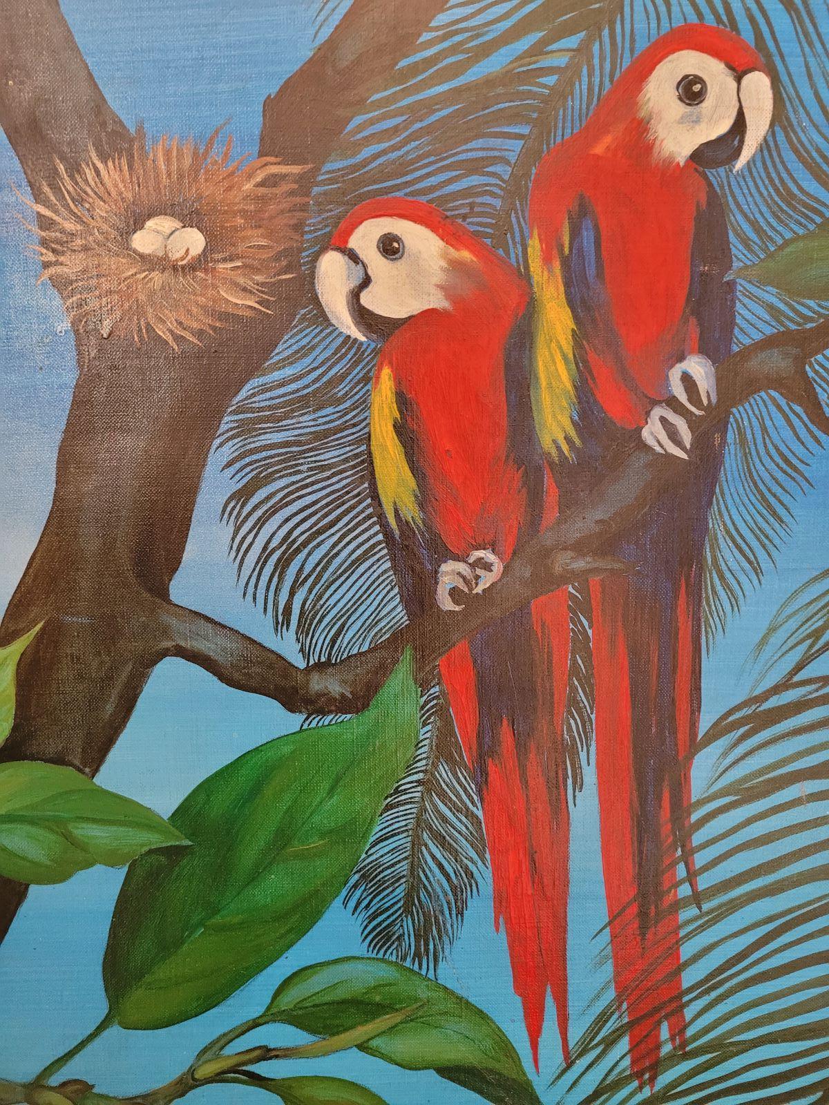 Heliconia nei mari in vendita 5