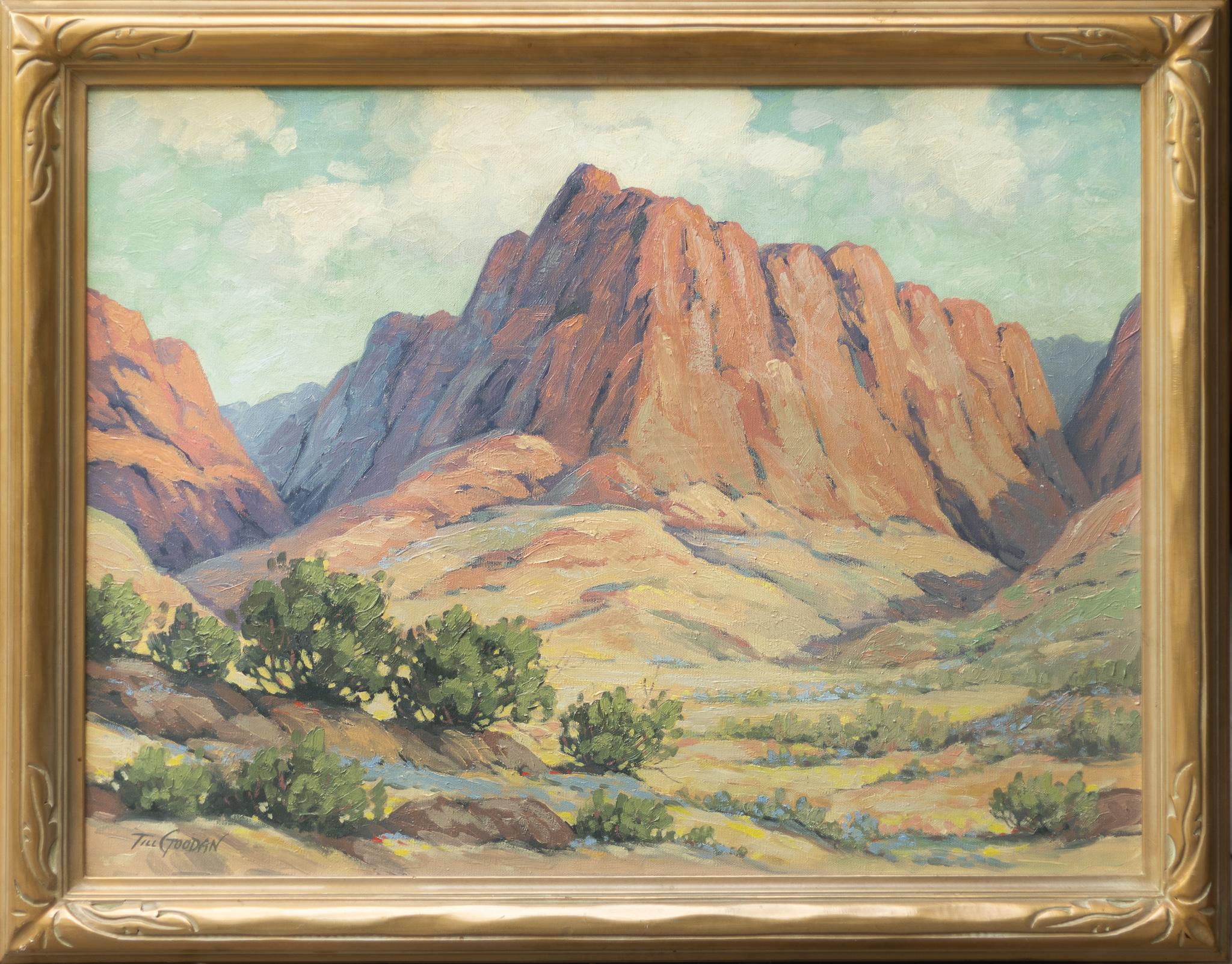 Desert Mountain Landscape - Painting by Tillman Goodan