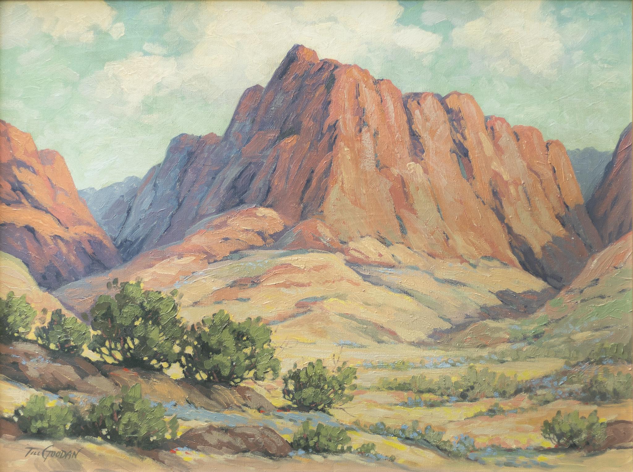 Tillman Goodan Landscape Painting - Desert Mountain Landscape