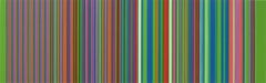 Primavera (finalmente), dipinto di Tim Bavington con polimeri sintetici su tela, 2007