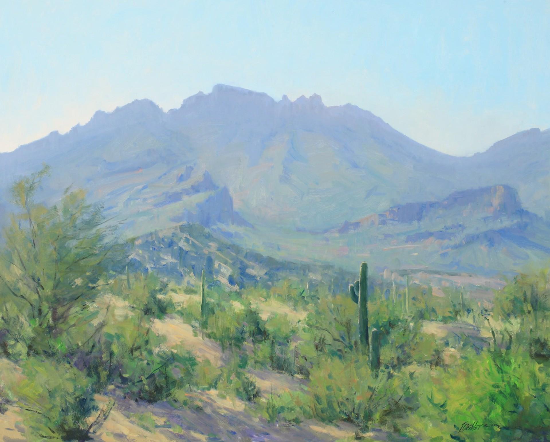 Tim Deibler Landscape Painting - Arizona Morning