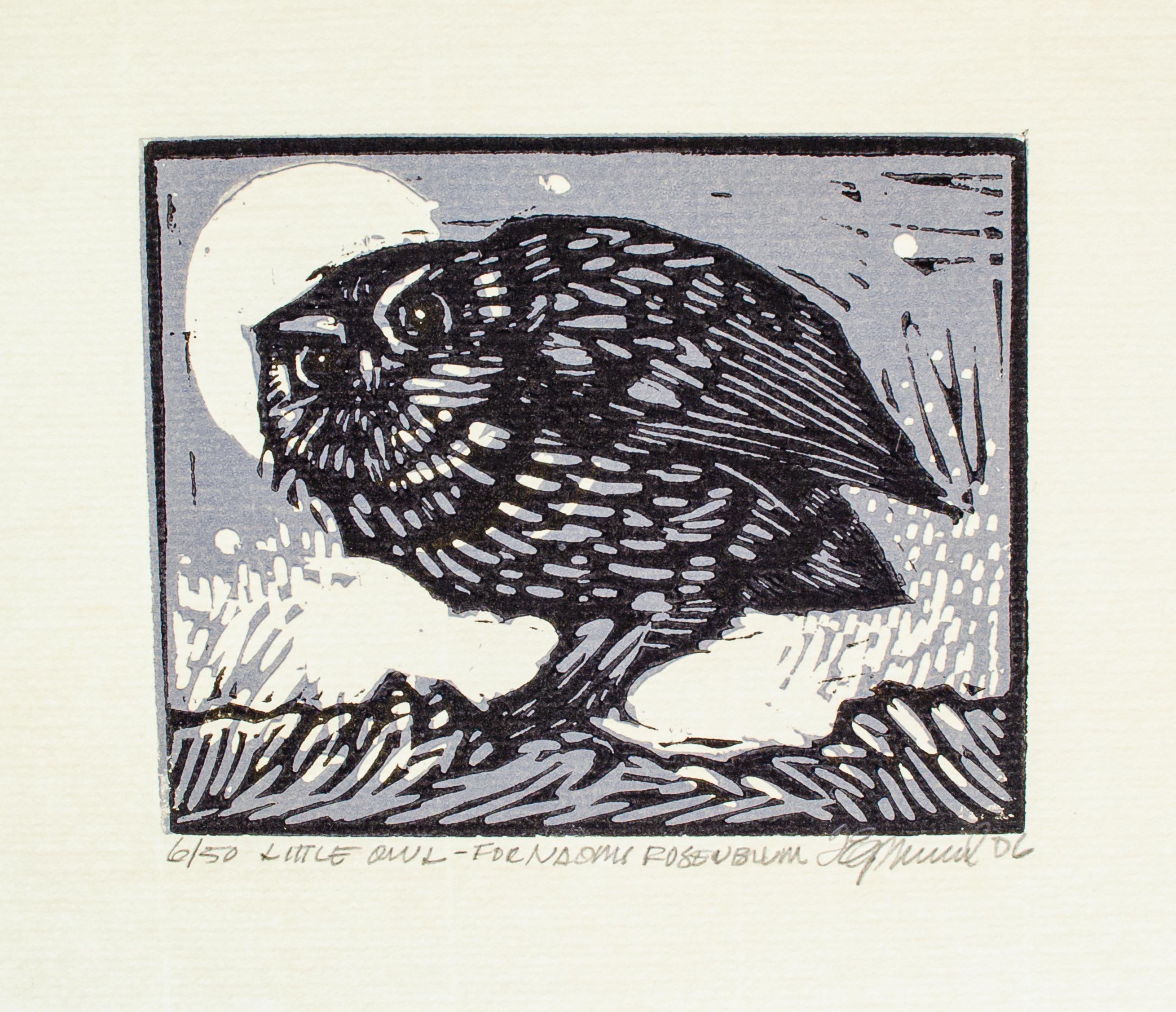 Tim Engelland (American, 1950-2012)
Little Owl, 2006
Combined lino/woodcut
5 1/2 x 6 1/2 in.
Inscribed bottom: 6/50, Little Owl - For Naomi Rosenblum, T. Engelland, 06

This "Little Owl" print was produced as a "thank you" for those who attended or