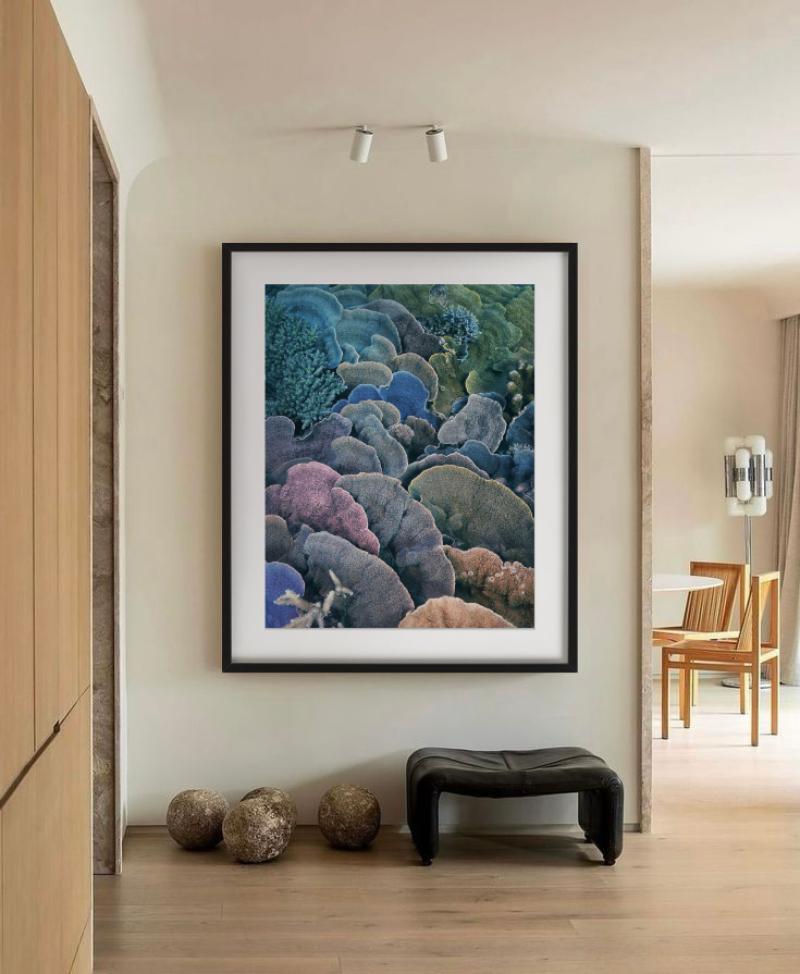 Koralle, Montipora Fan - Unterwasser Meereslebewesen Nahaufnahme, Fine Art Photography im Angebot 7
