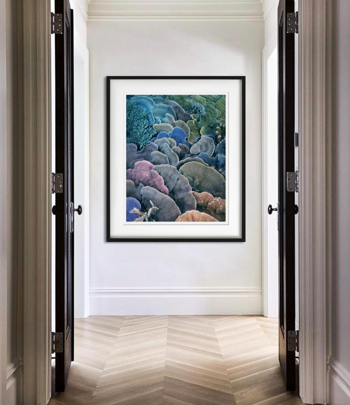 Koralle, Montipora Fan - Unterwasser Meereslebewesen Nahaufnahme, Fine Art Photography (Grau), Color Photograph, von Tim Flach