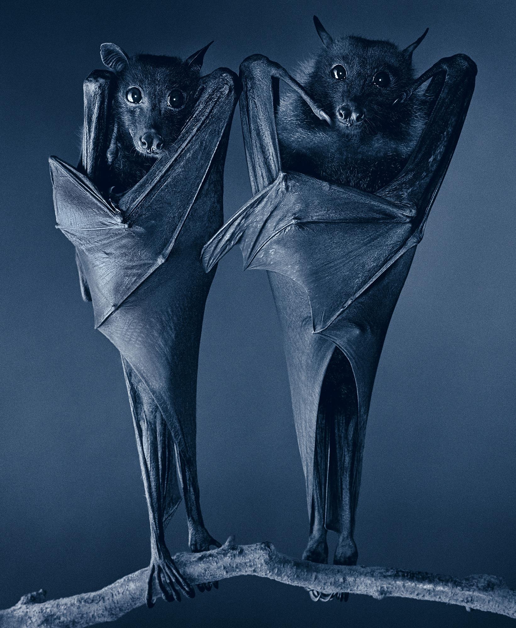 bat art