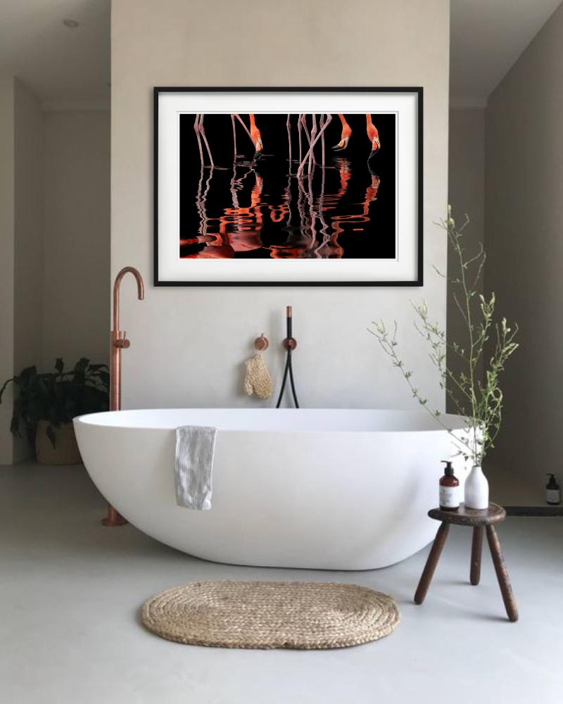 Flamenco - Anmales reflejados en el agua, Fotografía artística en venta 5