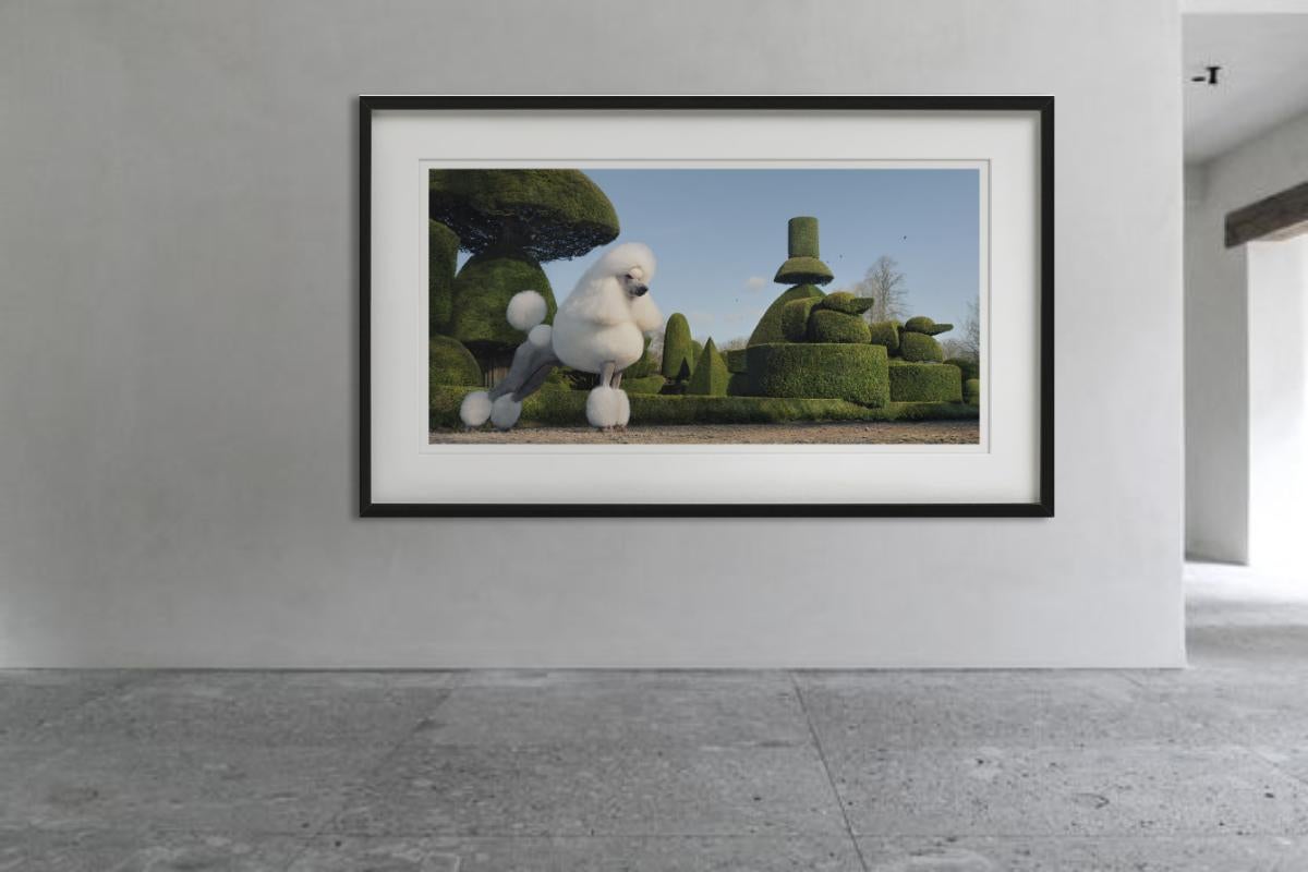 Topiary, Fotografia d'autore in vendita 4