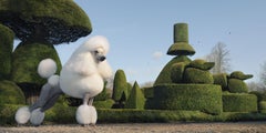 Topiary, Fine Art Photography