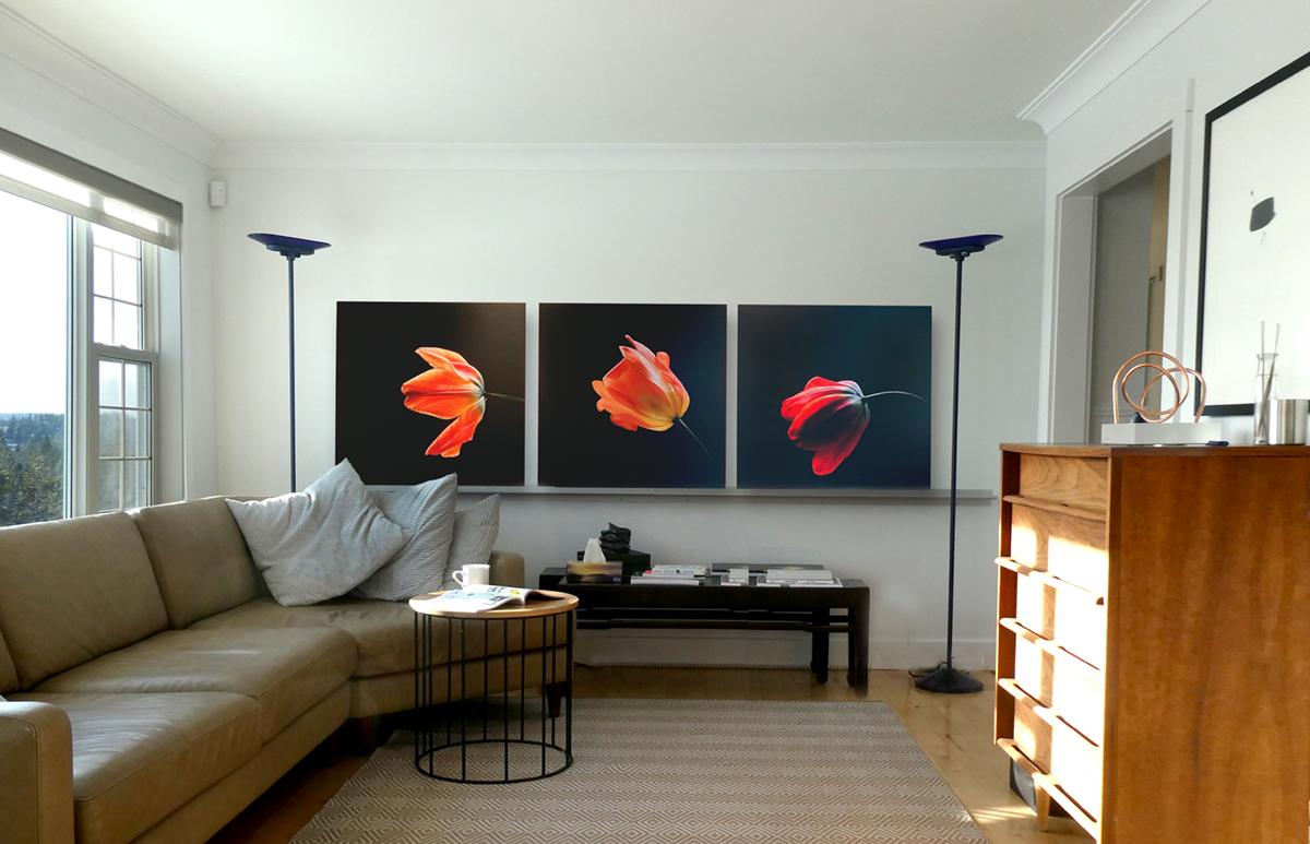 Wall Tulip Series For Sale 1