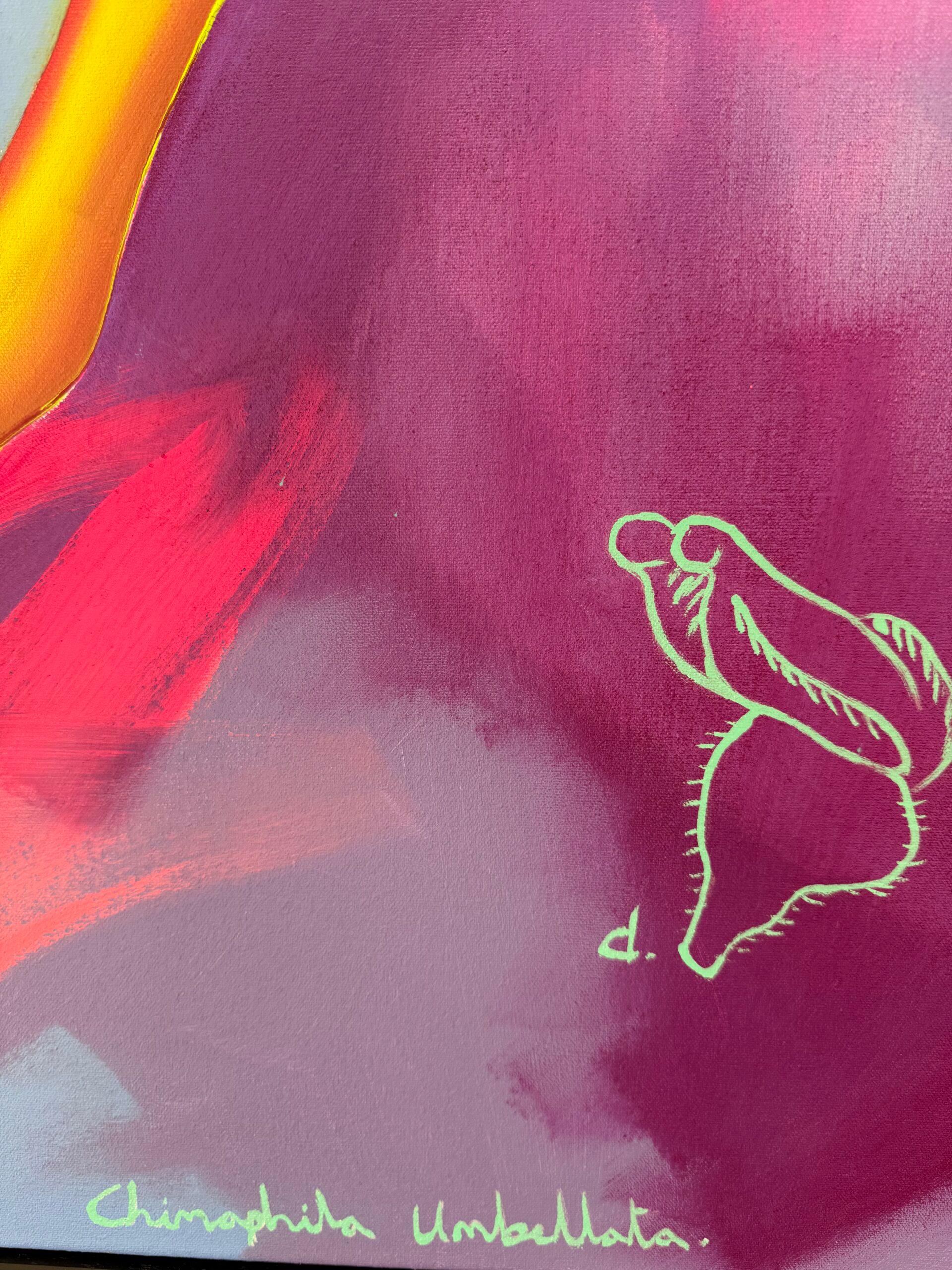 Prince's Pine For Sale 4