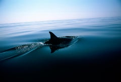 ' Deep Calm ' Limited Edition, Signed Oversize Archival Pigment print