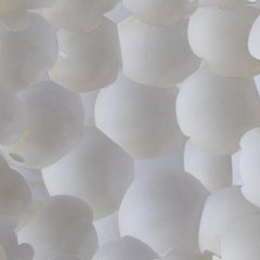 Egg-shell star burst