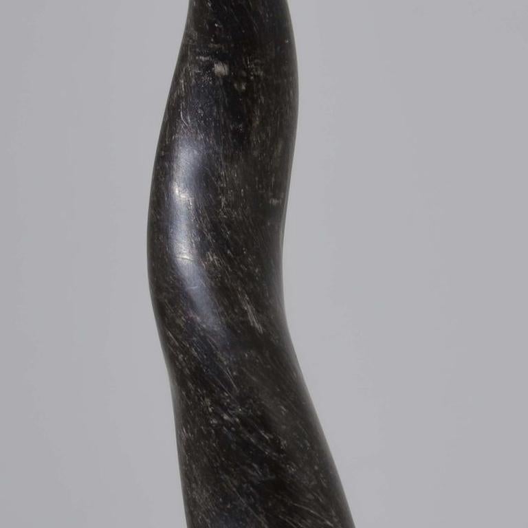 Horn - Gray Figurative Sculpture by Tim Hawkinson