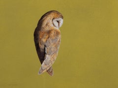 Barn Owl - Chartreuse - Contemporary - Animal painting