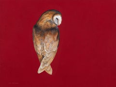 Barn Owl - Cinnabar