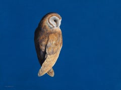 Barn Owl - Ultramarine - Contemporary - Bird - animal painting