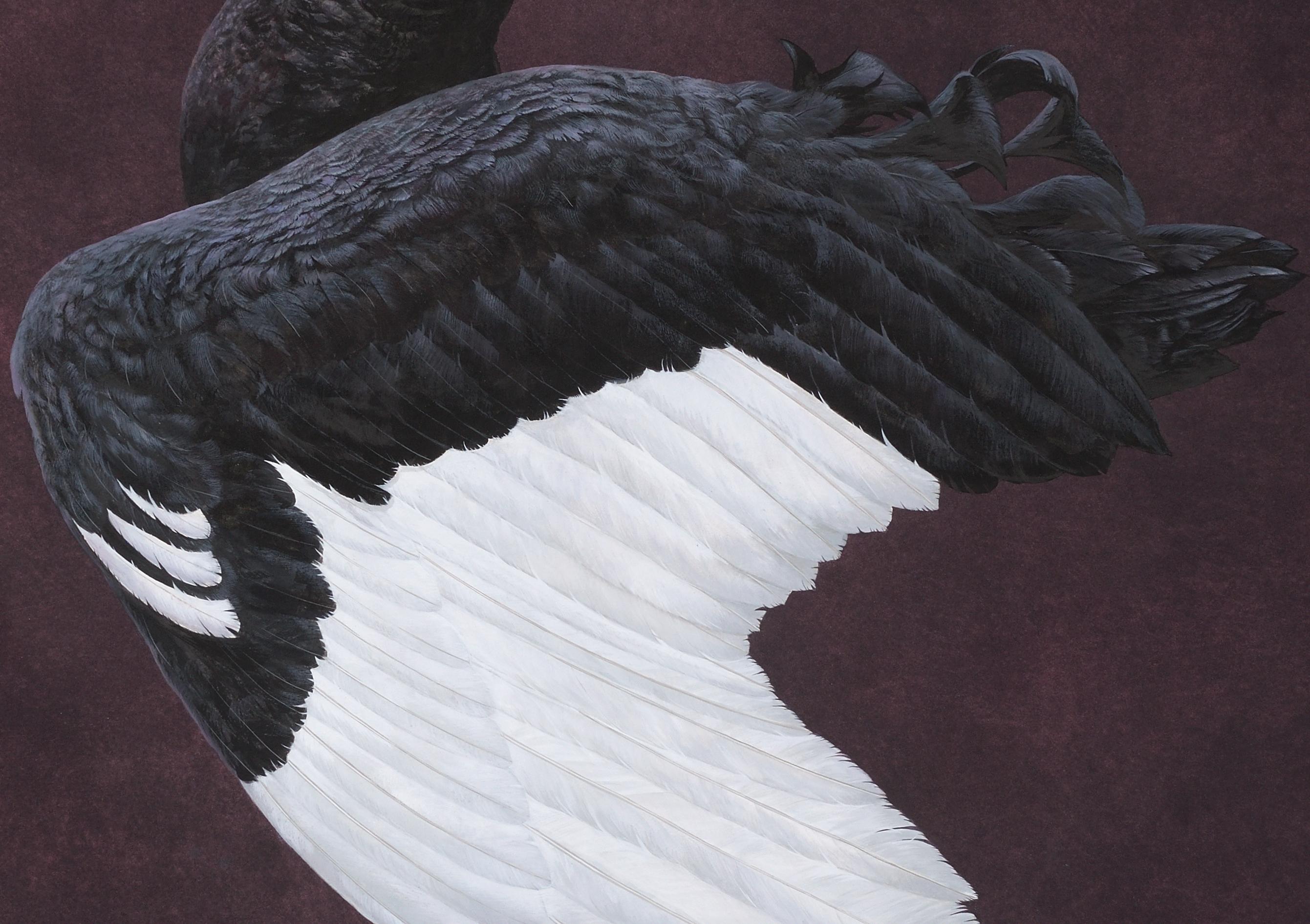 black swan paintings