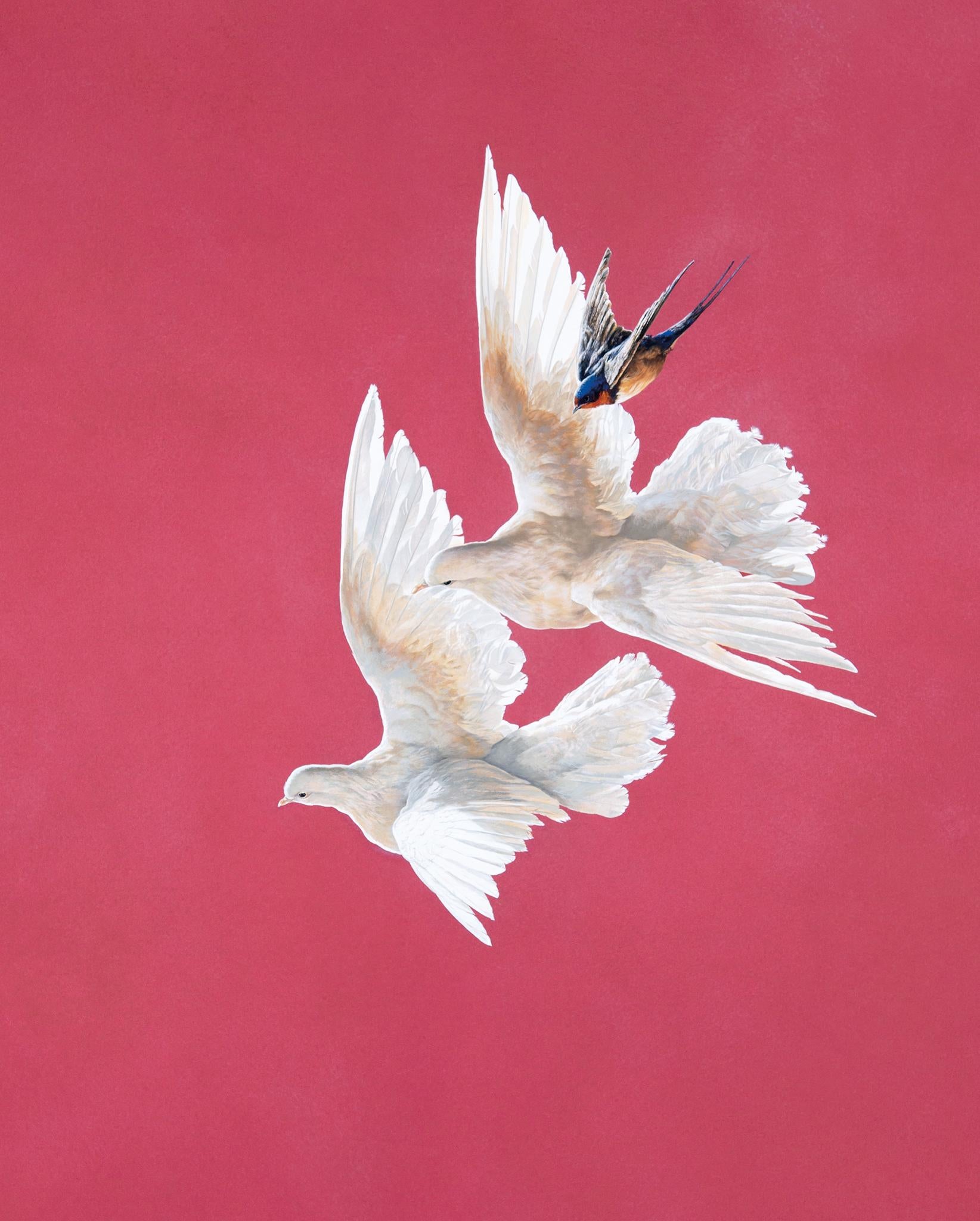 Tim Hayward Animal Painting - Doves and Swallow - Roseate - Animal painting - contemporary 