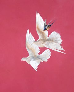 Doves and Swallow - Roseate - Animal painting - contemporary 