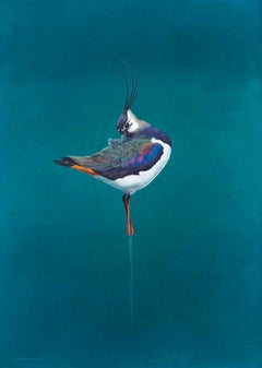 Preen