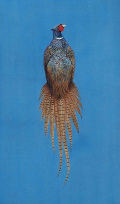 Ring-Necked Pheasant - Azure