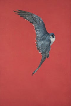 Soar - Red