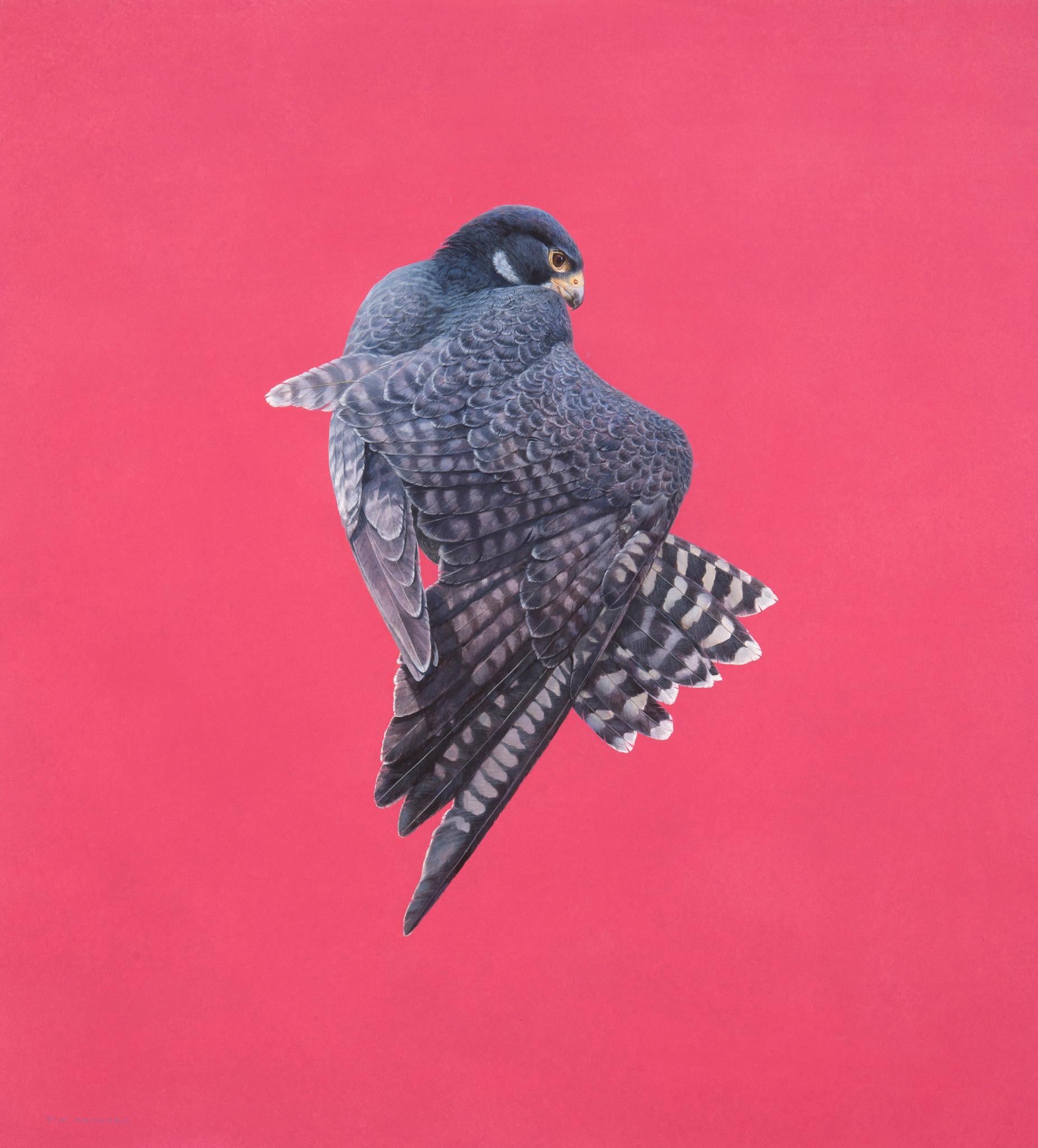 Tim Hayward Animal Painting – Unfold