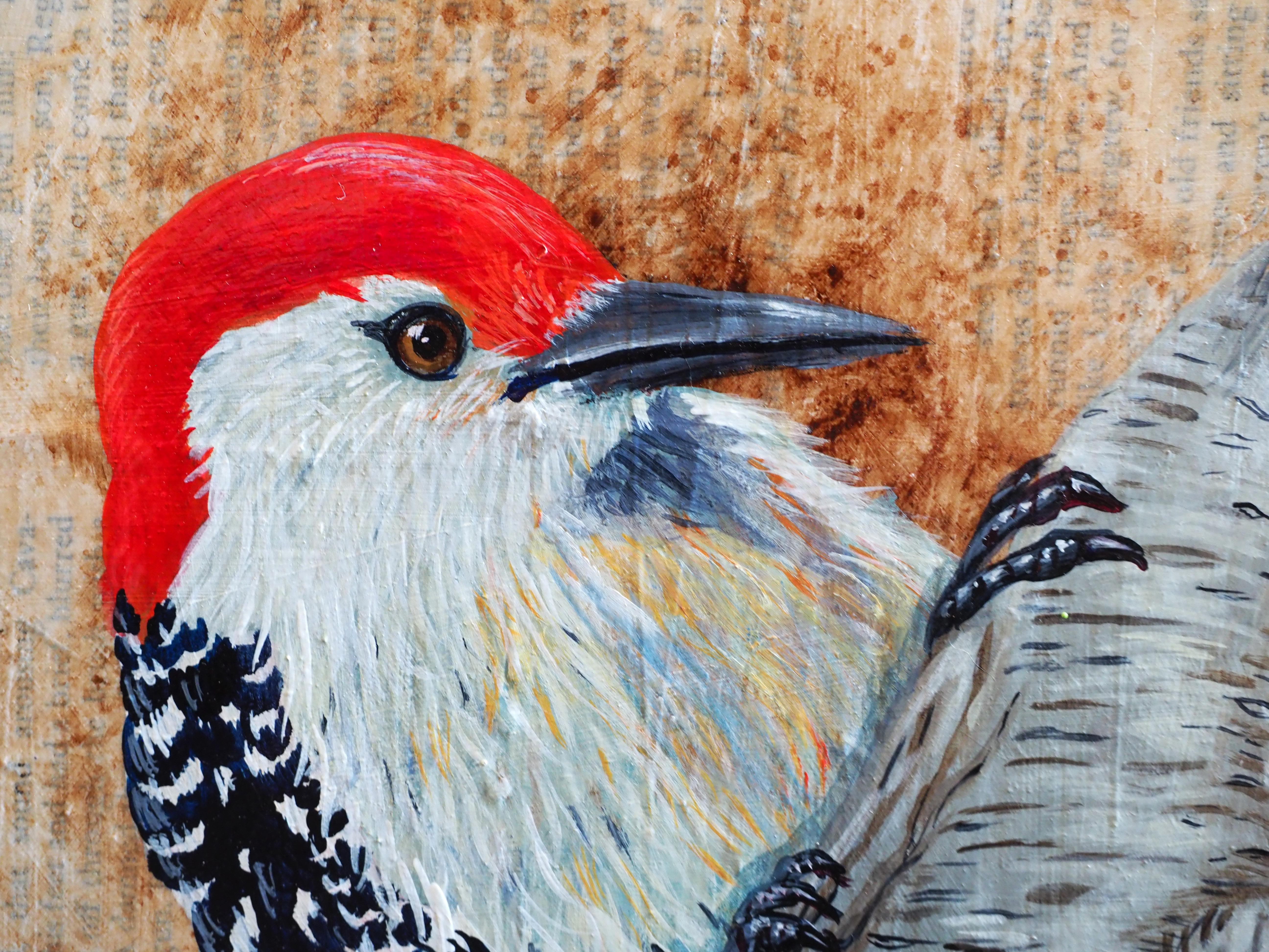 Red Bellied Woodpecker displays a woodpecker with red coloring on his head and black and white wings holding onto a light brown branch. The background consists of layers of book pages and thin washes of paint. Tim Hooper employs smooth brushstrokes
