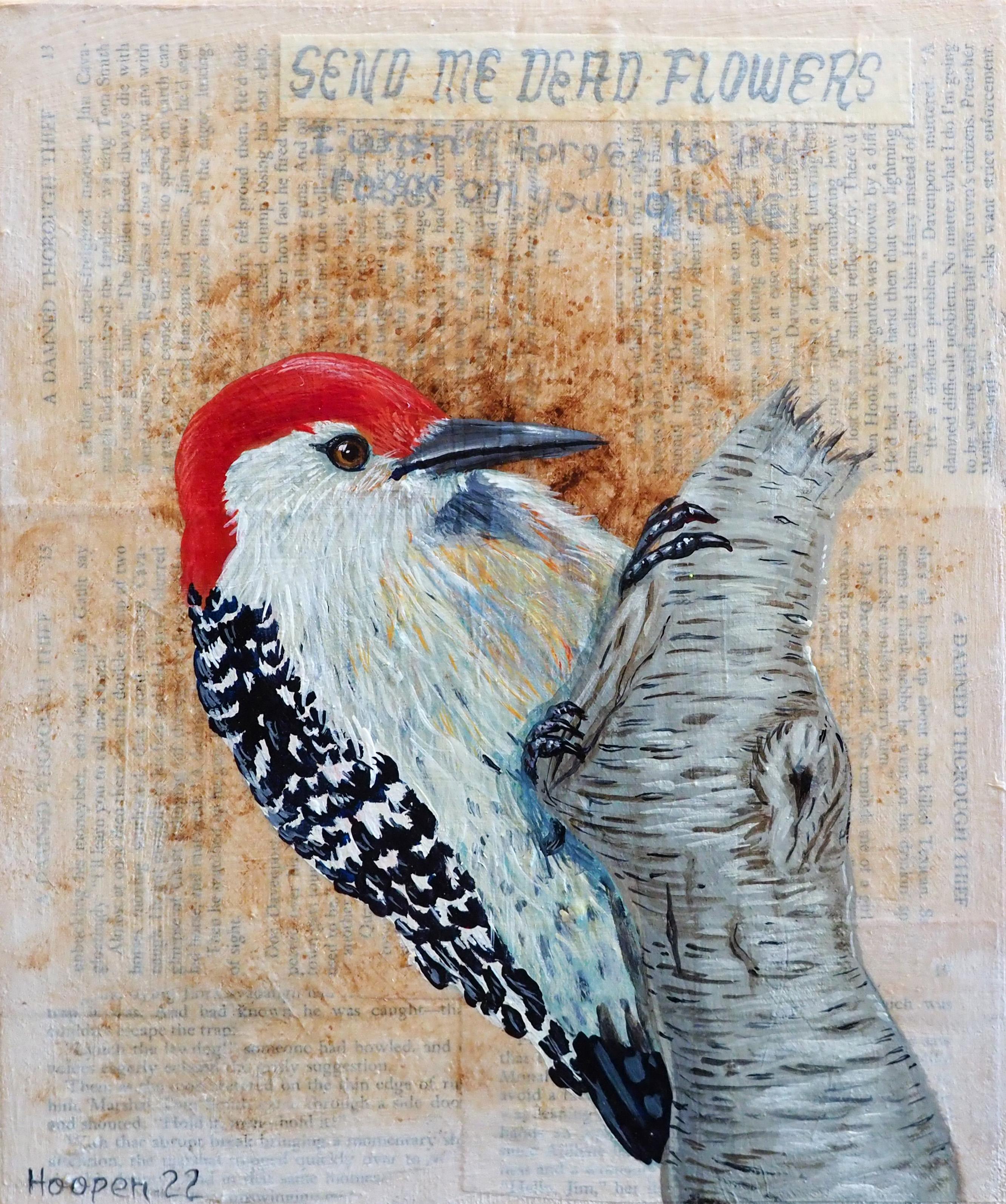 Red Bellied Woodpecker - Painting by Tim Hooper