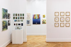 'Curruca mirlona' - ave - blanco y negro - Audubon