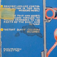 circa 1955 Pumping Heart