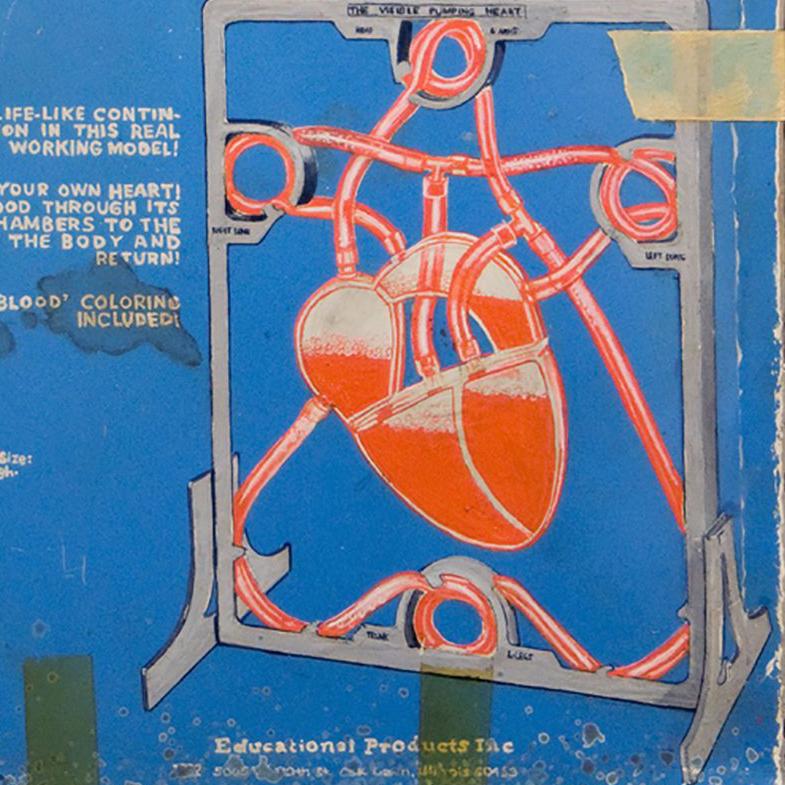 circa 1955 Pumping Heart For Sale 1