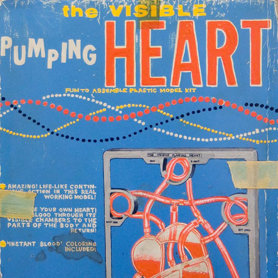 circa 1955 Pumping Heart For Sale 2