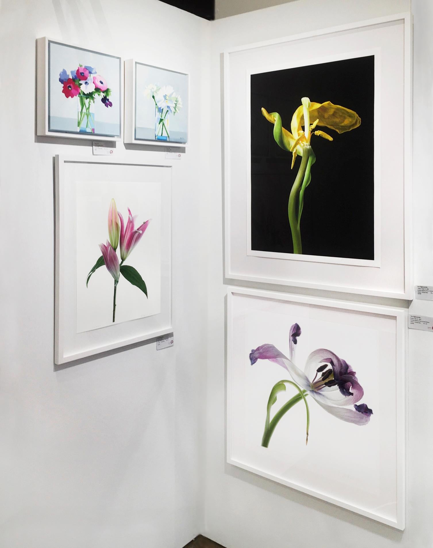 Lily 181 B, Photographie couleur, édition limitée, rose, encadrée, botanique, florale en vente 6