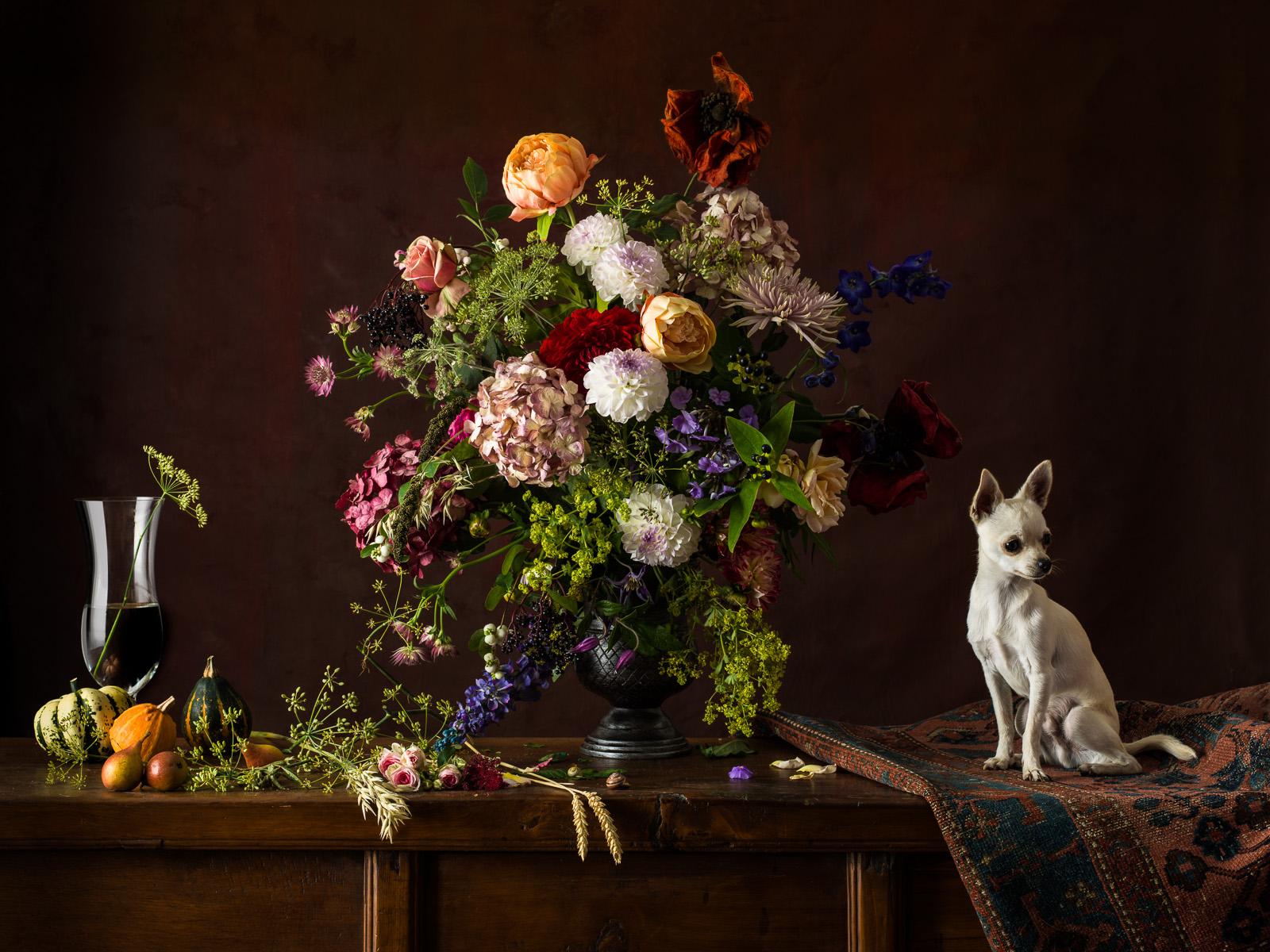Cane olandese #1 Chihuahua bianco -  Stampa a pigmenti d'archivio firmata in edizione limitata  -  Edizione di 3

Una serie di quattro immagini ispirate all'epoca d'oro della pittura olandese di nature morte del XVII secolo. Spesso vengono chiamati
